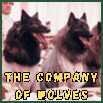 The Company of Wolves (1984) feat. Naomi Osborn