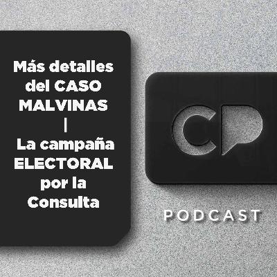 12/NOV: Más detalles del CASO MALVINAS | La campaña ELECTORAL por la Consulta
