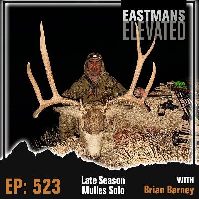 Episode 523:  Late Season Mulies Solo With Brian Barney