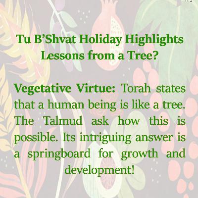 Tu B’Shvat Holiday Highlights - Lessons from a Tree?