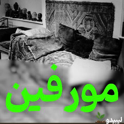 آیا فرار از اتریش ، زیگموند رو نجات داد ؟ سکانس تلخ پایانی آیا فرار از اتریش ، زیگموند رو نجات داد ؟ سکانس تلخ پایانی
