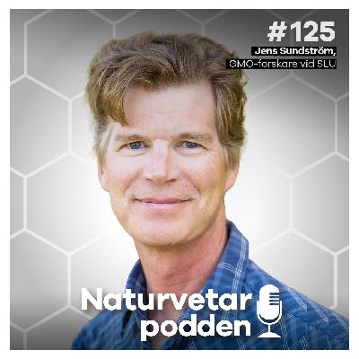 #125 Jens Sundström – Så kan GMO fixa klimatkrisen