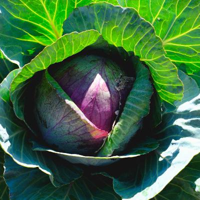 תרגול בסיס | 5 דק של מיינדפולנס