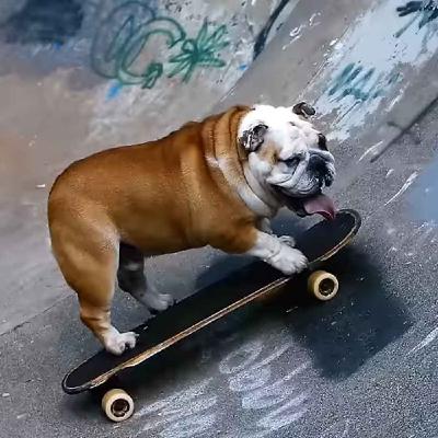 Poewk's Podcast: new Island