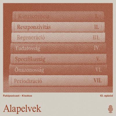 Kisokos #6 - Alapelvek