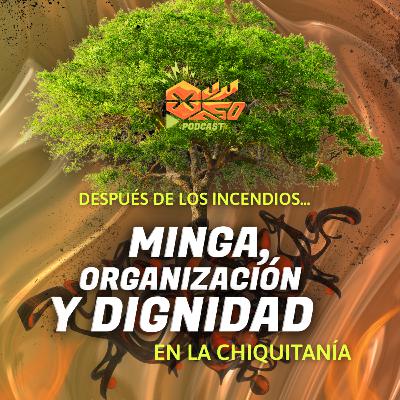 Después de los incendios en la Chiquitania: Minga, organización y dignidad