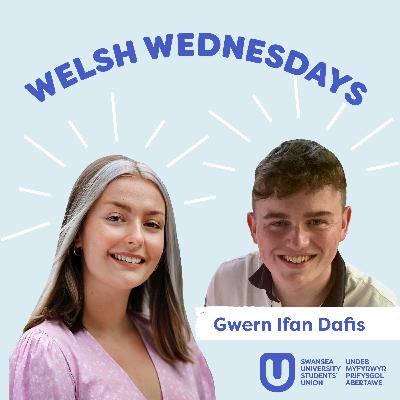 Croeso i'r Swyddog Materion Cymraeg newydd!
