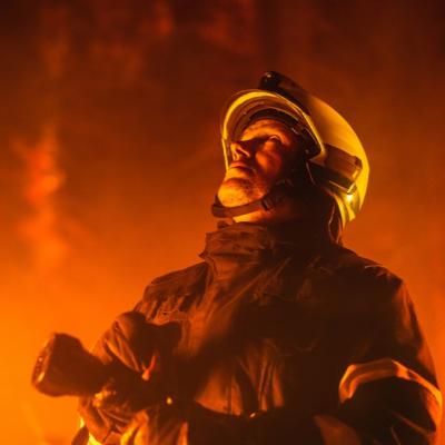 Е55: Пожарите в България: Или как да предпазим нашите гори Е55: Пожарите в България: Или как да предпазим нашите гори