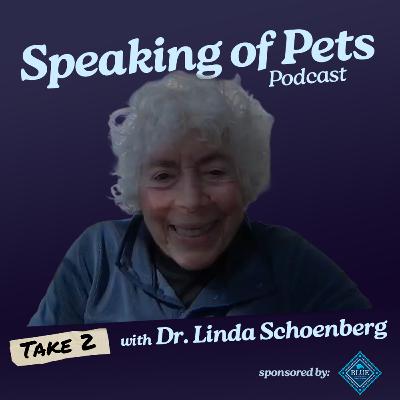 This is The Best Way to Care for Your Cats | SOP ep. 94 - Dr. Linda Schoenberg - Take 2! This is The Best Way to Care for Your Cats | SOP ep. 94 - Dr. Linda Schoenberg - Take 2!