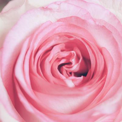 21天豐盛冥想: Day 1 21天豐盛冥想: Day 1