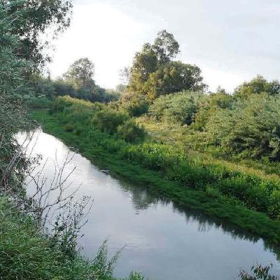 "Avanzamos en el Corredor Verde" F Salado, pte Diputación Málaga