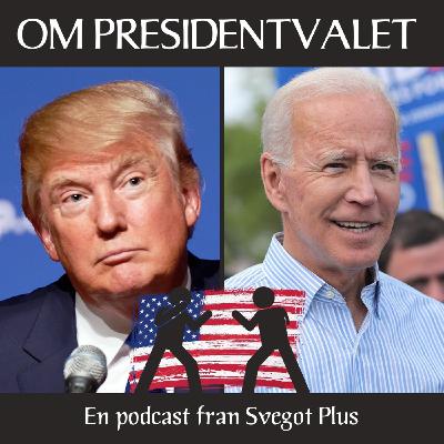 Om amerikanska presidentvalet 2020