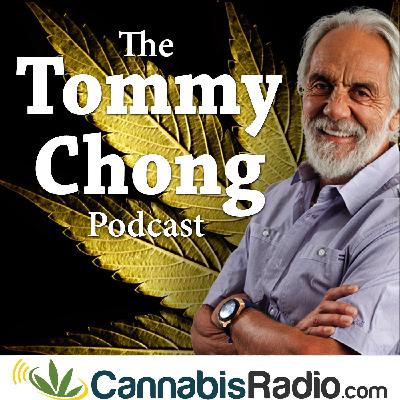 Did Tommy Chong Say Marijuana Is Not The Cure For Cancer Did Tommy Chong Say Marijuana Is Not The Cure For Cancer