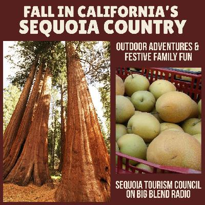Fall in California’s Sequoia Country: Outdoor Adventures and Festive Family Fun