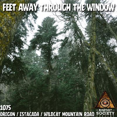 A Man From Sandy, Oregon Shares His Lifelong Encounters With The Sasquatch A Man From Sandy, Oregon Shares His Lifelong Encounters With The Sasquatch