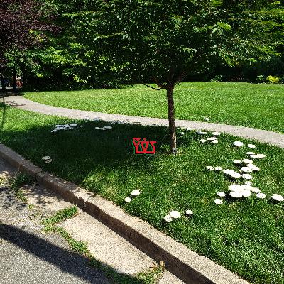 Sustainability From the Seed to the Sleeve