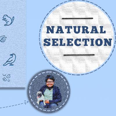 Conundrum Archives | S02E06 | Natural Selection Conundrum Archives | S02E06 | Natural Selection