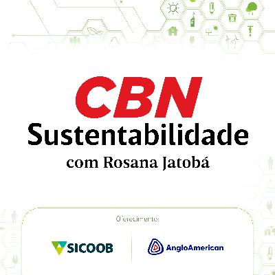 Ambientalistas comemoram nova regulação ESG dos data centers no Brasil