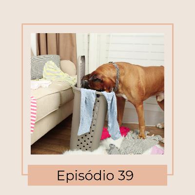 Meu cachorro só faz bagunça. O que eu faço?