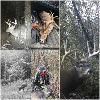RFR #027 – Fall Hunting Update and Bowfishing Fever