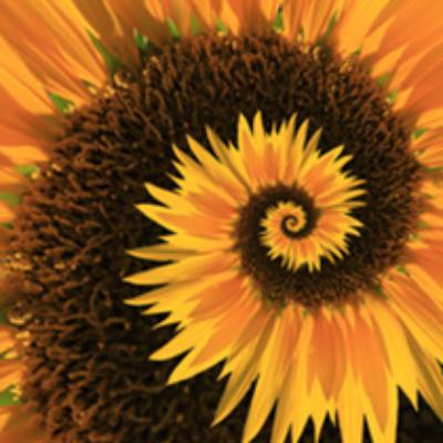 Bài 33: Giả khoa học và Dở khoa học