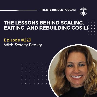 The Lessons Behind Scaling, Exiting, and Rebuilding GoSili