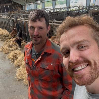 BONDEN: Jerseymeieriet – Om jerseymelk, dyrevelferd, metanhemmere og veien mot et eget meieri