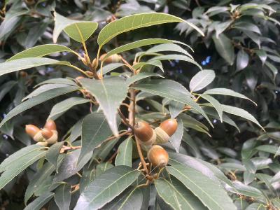 2025.10/30 意図と感情をキープする from Radiotalk