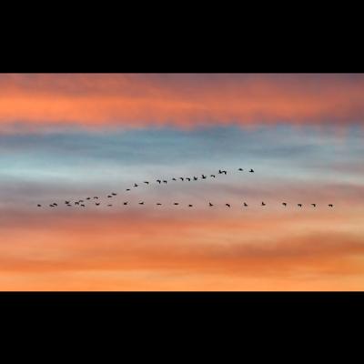 Intro/ what is and why minimalism