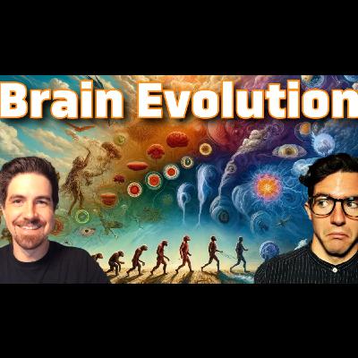 How The Brain Evolved from Single Celled Organisms