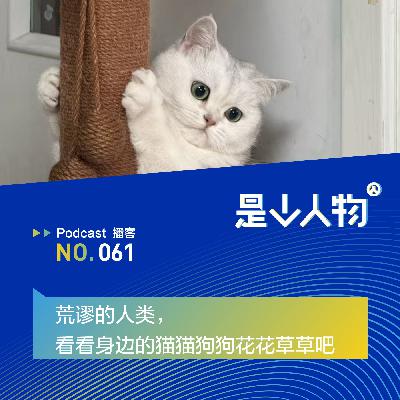 荒谬的人类，看看身边的猫猫狗狗花花草草吧