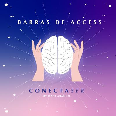 Barras de Access - ¿Que más es posible? Barras de Access - ¿Que más es posible?