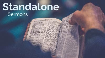 The Way of Escape: How Jesus Is the Solution to the Longings We Fill with Idolatry