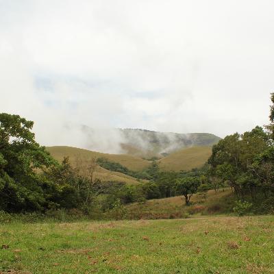 book review-the diary of a young girl