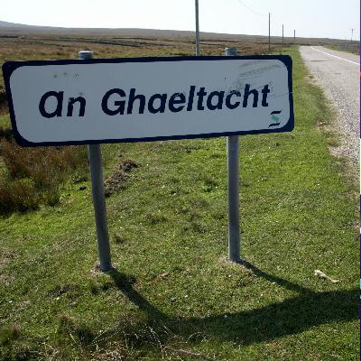 Families raising their children through Irish is falling