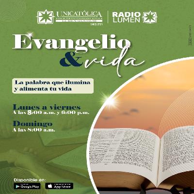 PROGRAMA 255
