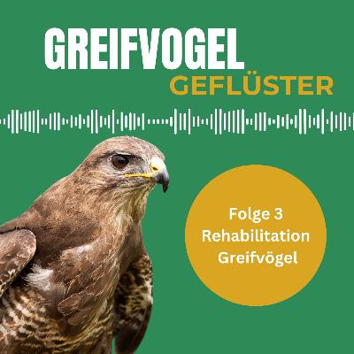 Rehabilitation - Verletzte Greifvögel aufnehmen und gesund pflegen