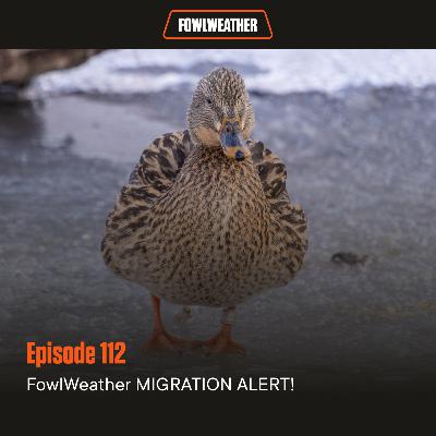 Ep. 112 – FowlWeather MIGRATION ALERT!