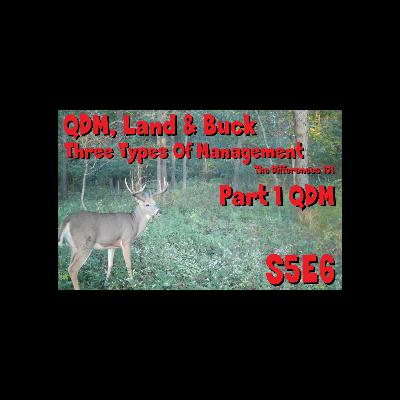 Land and buck and QDM management differences 101 s5e6 movie