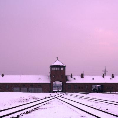 The Nazi Experiment, Vol. 6: Carl Schmitt and the Total State