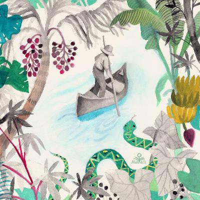 14. Journey through the Amazon - Helder Valente