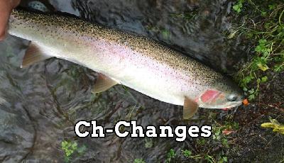 Always in Pursuit Episode Fifteen: Ch-Changes Always in Pursuit Episode Fifteen: Ch-Changes