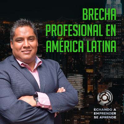 Brecha profesional en América Latina