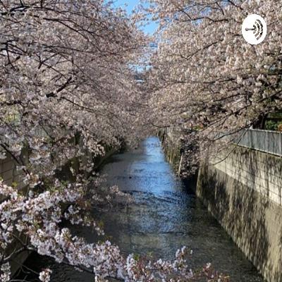 Aku menyukaimu, lalu menyakitimu Aku menyukaimu, lalu menyakitimu