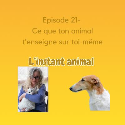 #21 Ce que ton animal t’enseigne sur toi-même