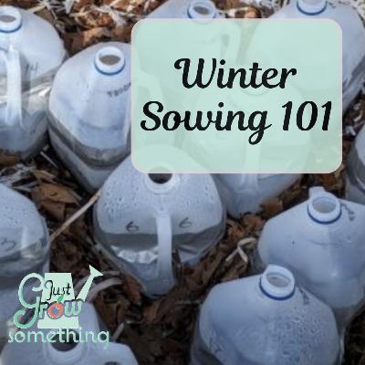 Winter Sowing 101 - Ep. 279 Winter Sowing 101 - Ep. 279