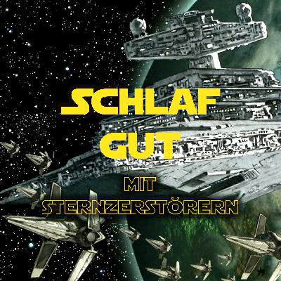 #53 Imperium-I-Klasse-Sternzerstörer