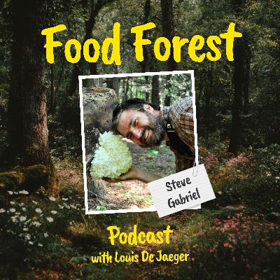 Food Forest Podcast: Steve Gabriel β How do you farm the woods? Eat more fungi! Food Forest Podcast: Steve Gabriel β How do you farm the woods? Eat more fungi!