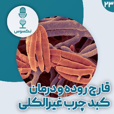 ۲۳— قهرمان میکروسکوپی: چطور یک قارچ روده، بیماری کبد چرب را متوقف می‌کند؟
