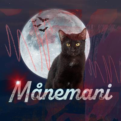 34. Månemani: Katten!  Hellig, nyttig, hatet og elsket